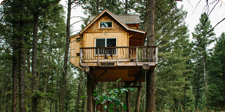 tree house