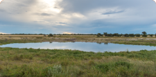 waterhole