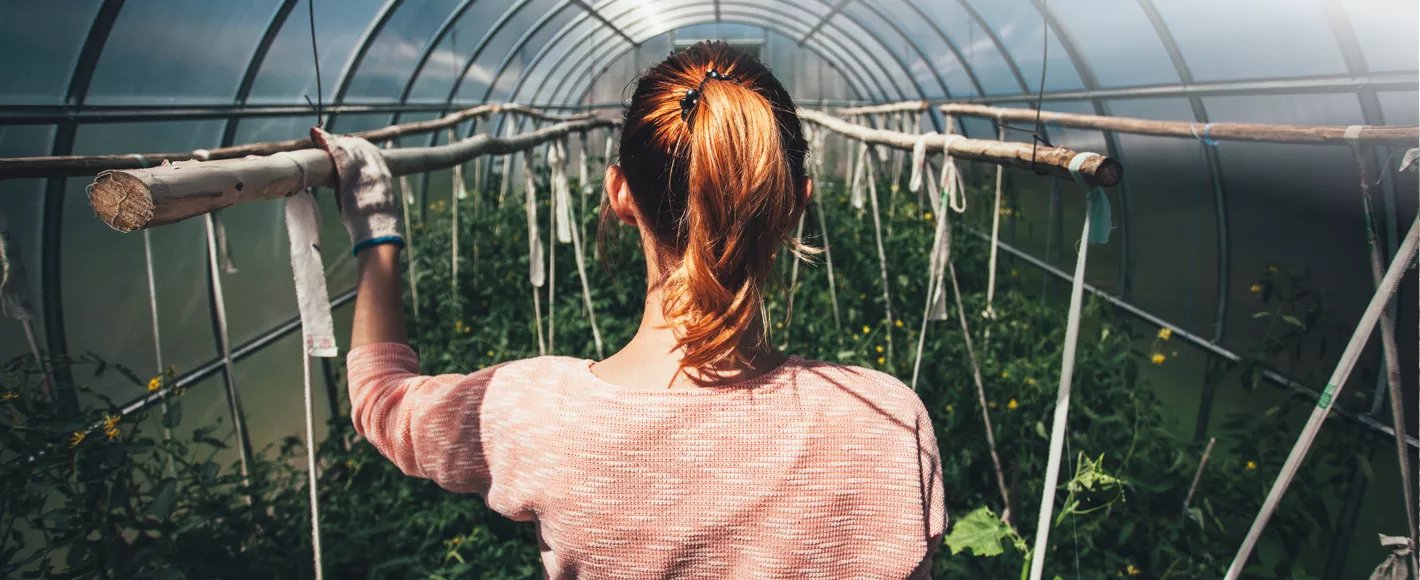 woman working in greenhouse
