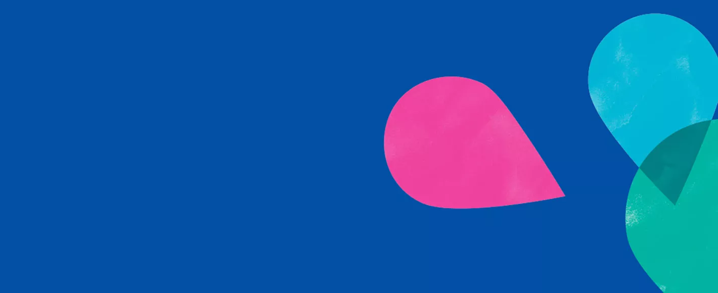 13-step quality process