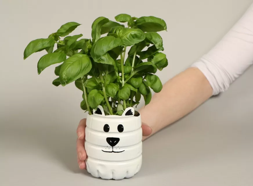 Plant