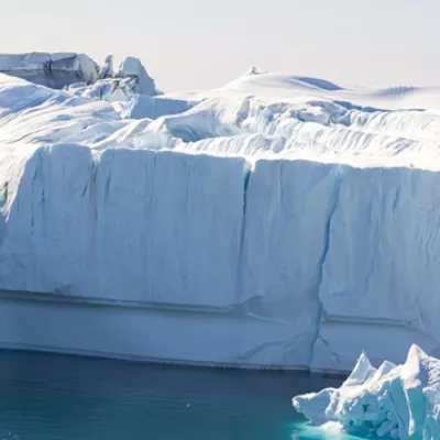The Arctic
