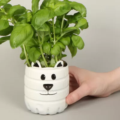 How to make a polar bear plant pot!
