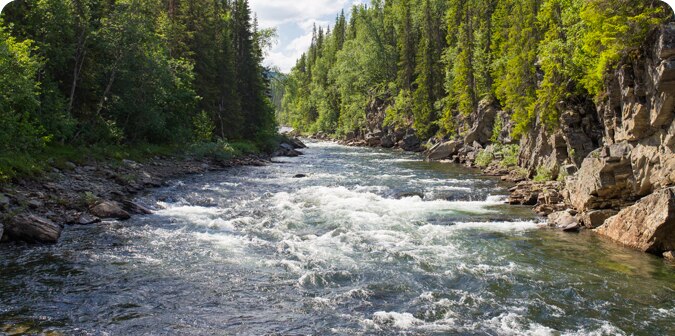 Near fresh water