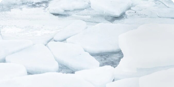 On ice floes