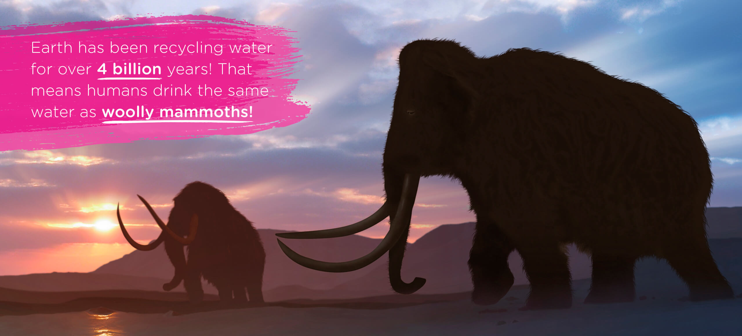 Top tips Wolly mammoths