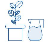 water challenge craft