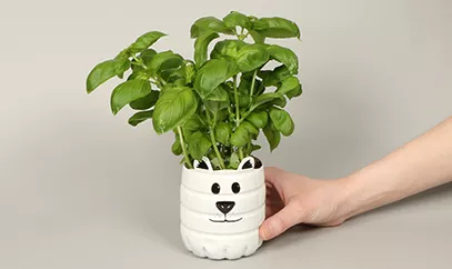 Plant Pot Hero