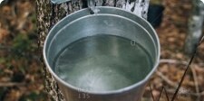 Water dripping slowly into a bucket of water.
