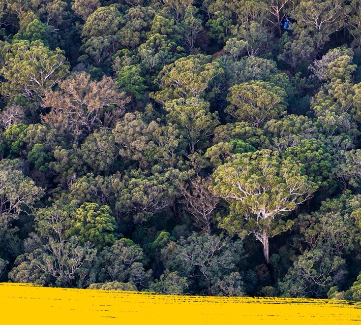 Image of the Australian wilderness shot from a birds eye perspective.