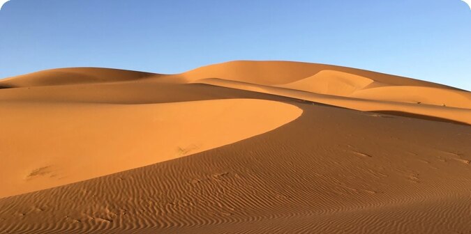 The Sahara