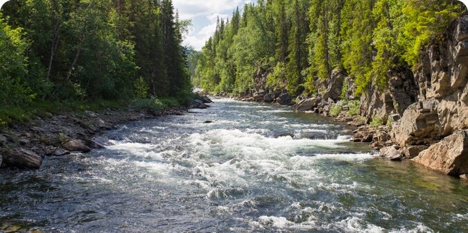 Near fresh water
