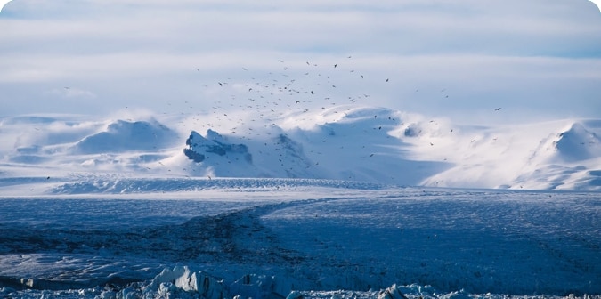 The Arctic