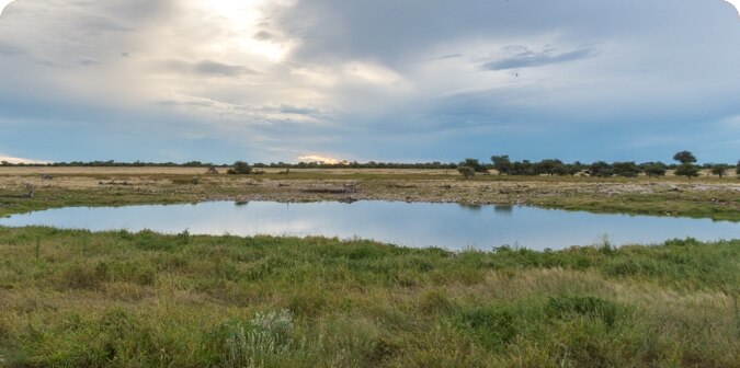 A waterhole