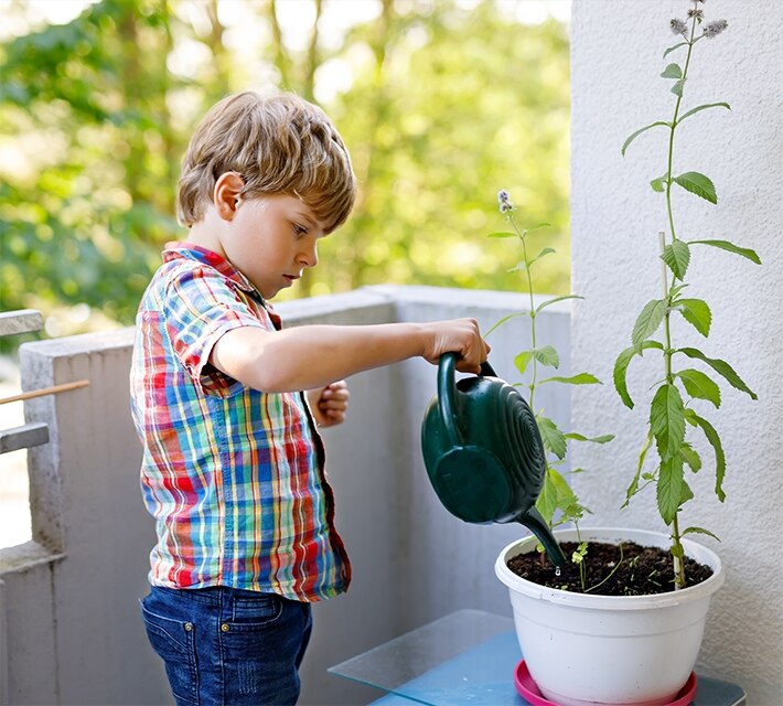 nestle pure life kid watering the plant