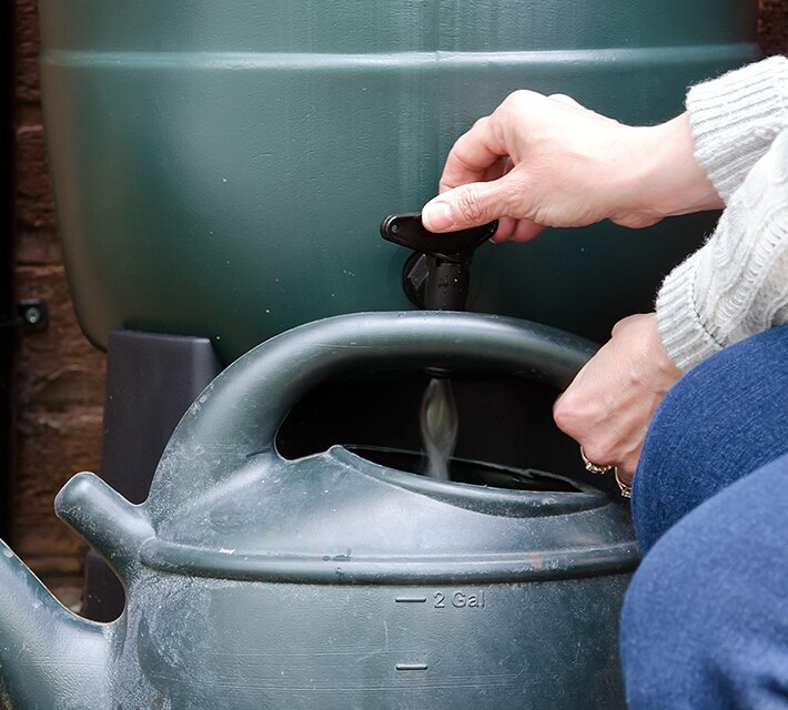 nestle pure life saving the rainwater