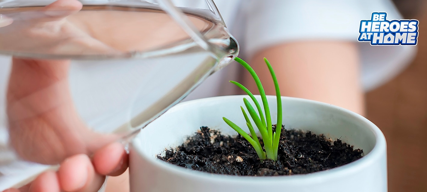 nestle pure life water conservation at home
