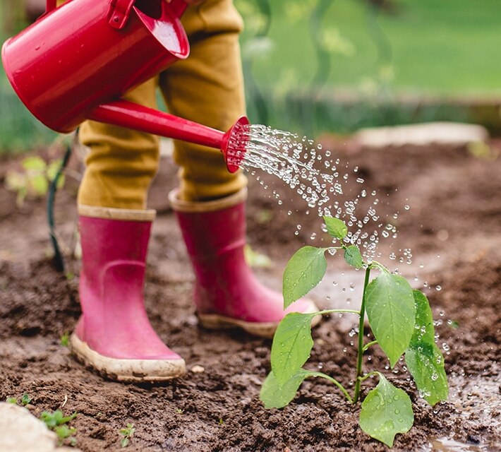 nestle pure life kid watering the plant