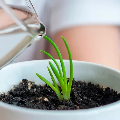 nestle pure life water conservation at home