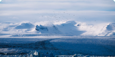 The Arctic
