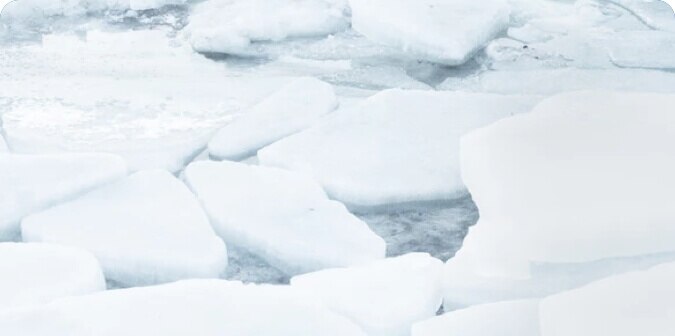 On ice floes