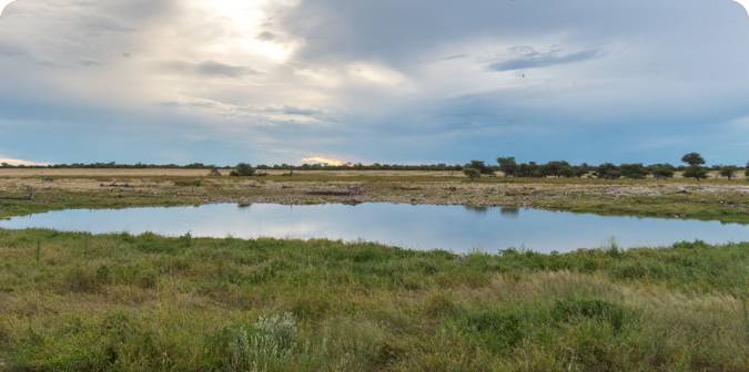 A waterhole