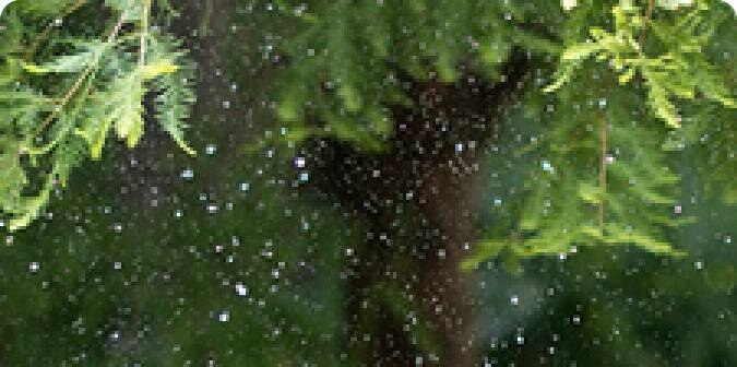 collecting_rain_water